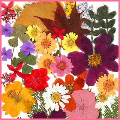 永生花干花团扇相框浮游花