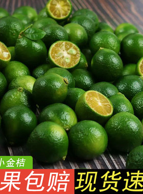 海南青金桔青橘青桔奶茶店烧烤店新鲜水果薄皮小青柠檬金桔1斤3斤