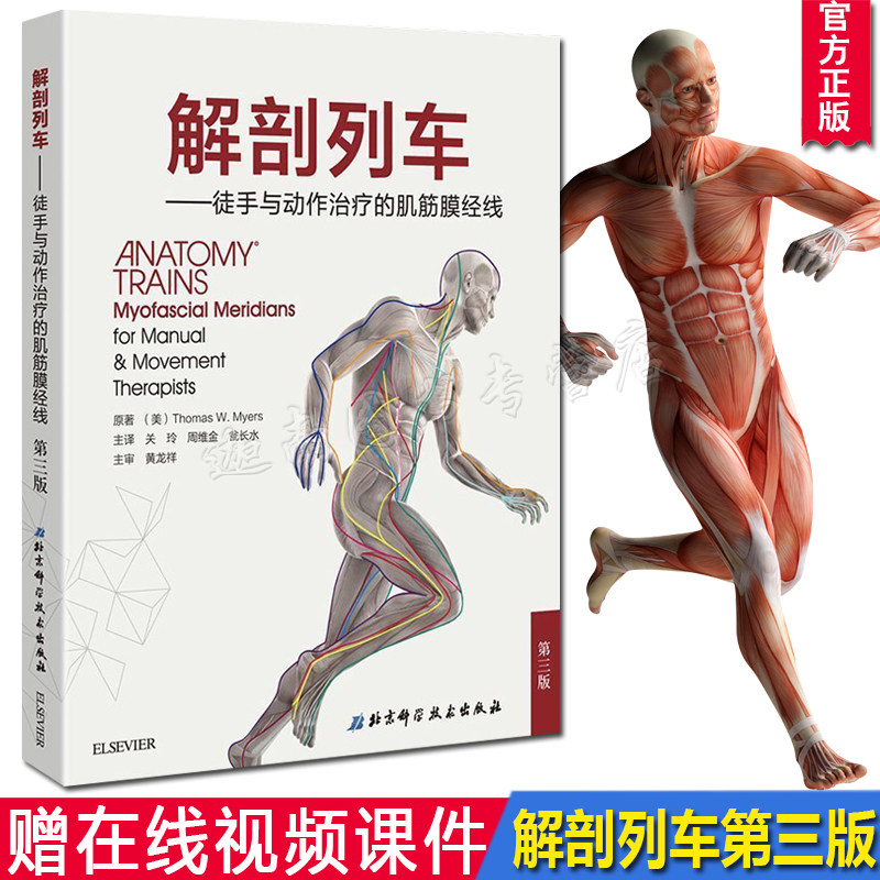 正版现货 解剖列车简体中文第三版 第3版 徒手与动作治疗的肌筋膜经线 原著:Thomas W.Myers 北京科技出版社人体解剖彩色学图谱|msdalam kategori buku/Magazine/akhbar, Kesihatan perubatan, peta perubatan - dari Buy2taobao.com untuk memberikan perkhidmatan ejen Taobao profesional membeli