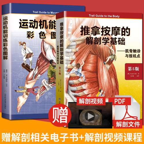 基础肌动学价格 基础肌动学图片 星期三
