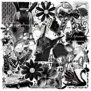 50张ins风黑白复古文艺双透贴画装 贴纸 饰桌面行李箱车涂鸦pet个性