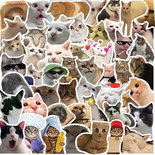 50张网红可爱猫咪表情包个性贴画