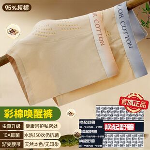 唤起野兽虫草养护抑菌内裤彩棉平角四角短裤大码纯棉透气抗菌舒适