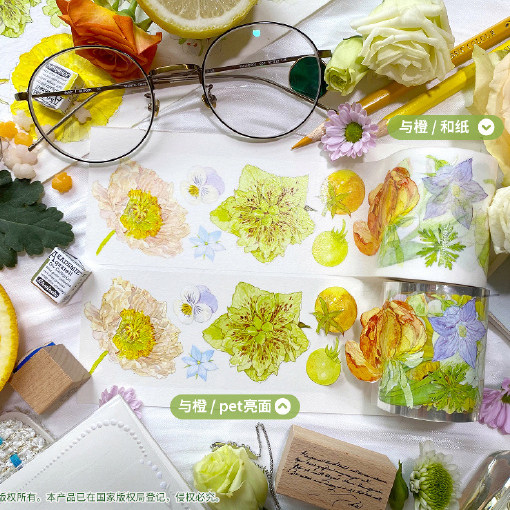 基研所草莓椿铁筷子葵橘子与橙小苍兰樱白昼梦芍药枇杷矾根樱春然