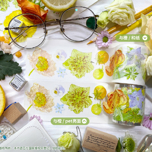 基研所草莓椿铁筷子葵橘子与橙小苍兰樱白昼梦芍药枇杷矾根樱春然