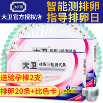 David ovulation test paper: 20 pieces for ovulation test, high precision pregnancy preparation, precise follicle LH, female pregnancy test, QD