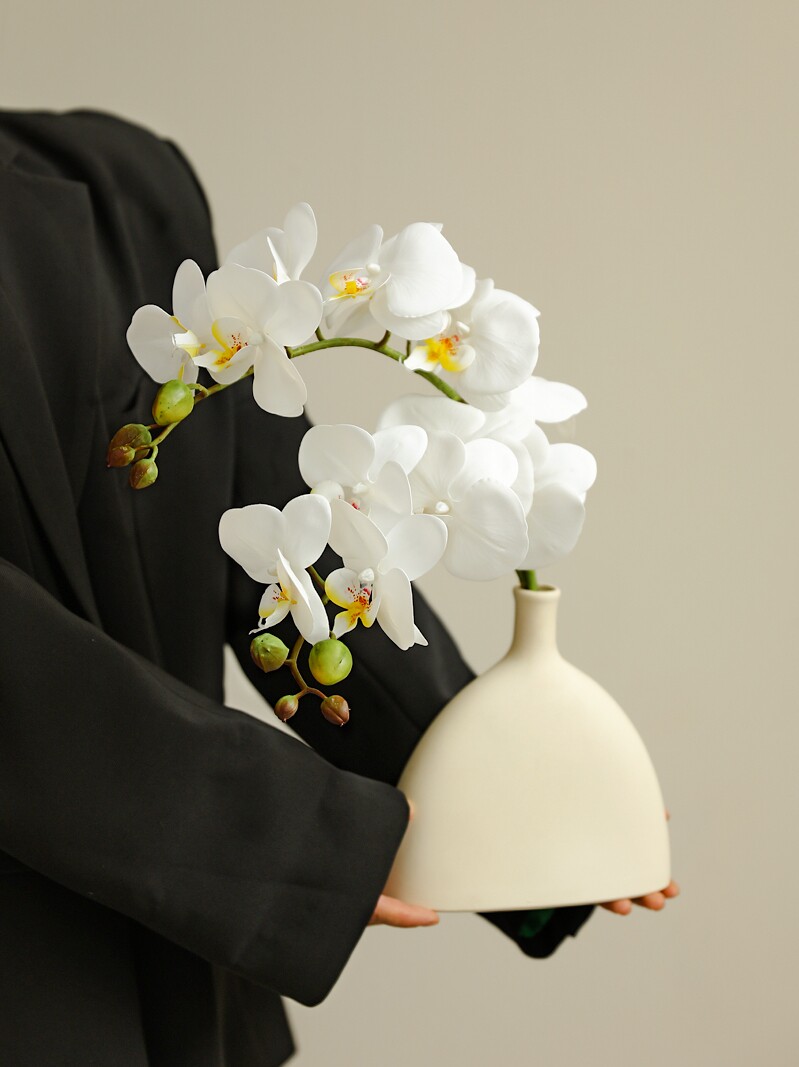 现代简约的白色陶瓷蝴蝶兰花花瓶装饰品客厅插花风格餐桌无障碍豪