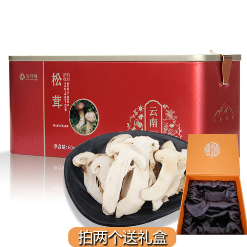 云南礼盒香格里拉松茸60g山珍