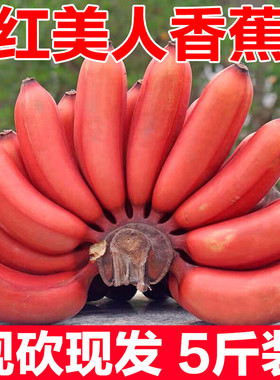 红皮美人蕉新鲜孕妇水果5斤整箱包邮banana香甜软糯小香焦香蕉