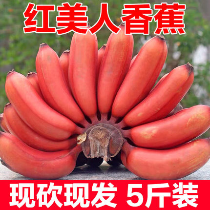 红皮美人蕉新鲜孕妇水果5斤整箱包邮banana香甜软糯小香焦香蕉