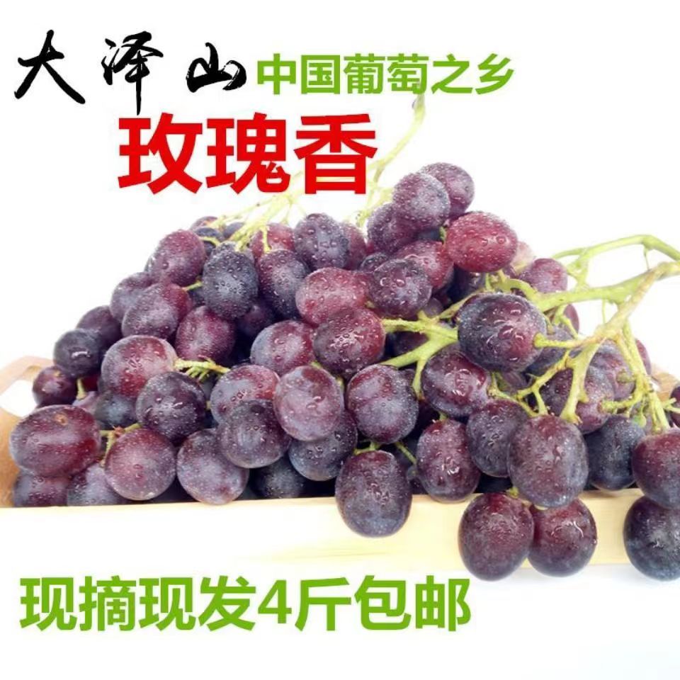 玫瑰香葡萄新鲜水果4斤整箱甜蜜现摘应当季孕妇大泽山玫瑰香葡萄