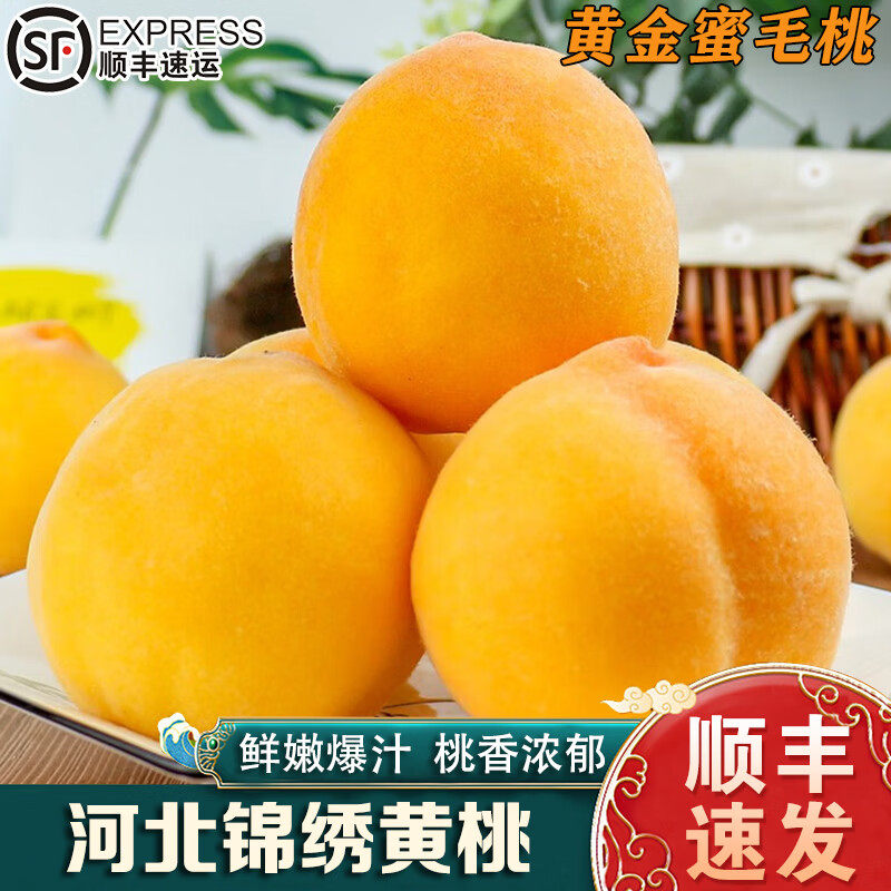 正宗纯甜锦绣黄桃新鲜孕妇水果香甜爽脆细腻甜桃黄桃毛桃顺丰包邮