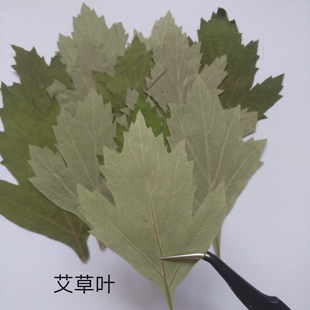 周周押花 艾草叶子 压花干花真花植物标本手工材料 亲子手工
