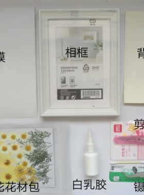 周周押花夏日7寸儿童活动标本
