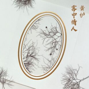 周周压花押花 黄栌 雾中情人标本材料 压花干花书签贺卡花材