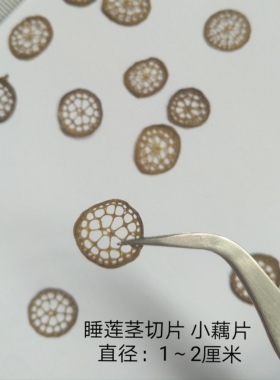 睡莲切片水果蔬菜滴胶手机壳干花