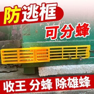 中蜂自动收王器分蜂器多功能防逃框自动分蜂器除雄蜂分蜂囚蜂王笼