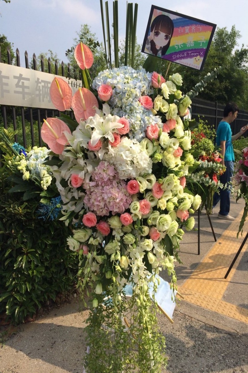 明星应援乔迁庆典同城速递绣球花