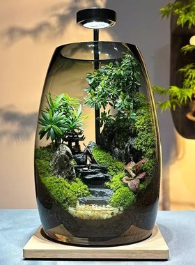 悟空微景观创意真植物苔藓绿植造景缸生态瓶办公室桌面高端送礼物