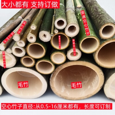 毛竹子毛竹竹筒竹子装饰造景