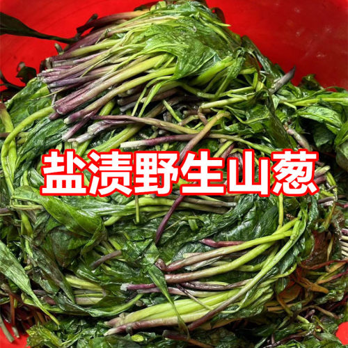 长白山野生山葱产地发货