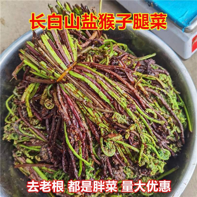 东北长白山猴腿菜新鲜盐制山菜精选无老根胖嫩菜凉拌菜非蕨菜包邮