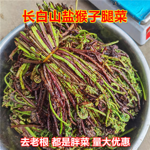 东北长白山猴腿菜新鲜盐制山菜精选无老根胖嫩菜凉拌菜非蕨菜包邮