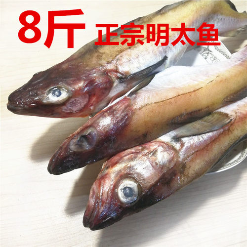 延边新鲜明太鱼产地发货