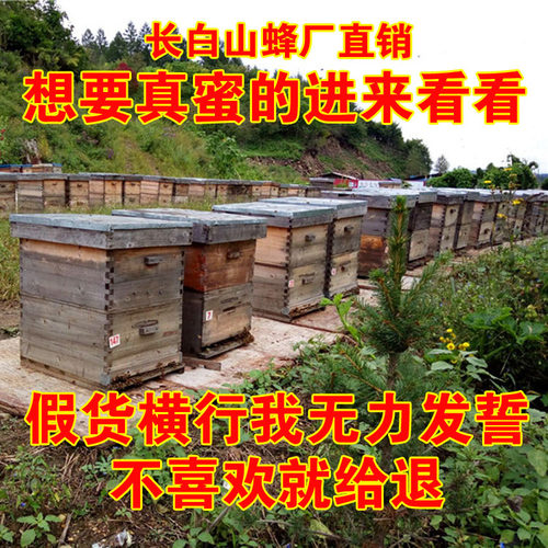 长白山原始深林椴树蜜农家蜂蜜