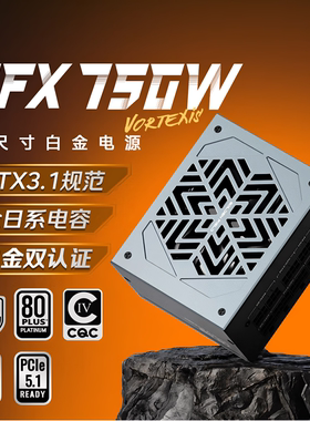 金河田SFX750W白金牌全模组ATX3.1台式主机电脑电源ITX小电源850W