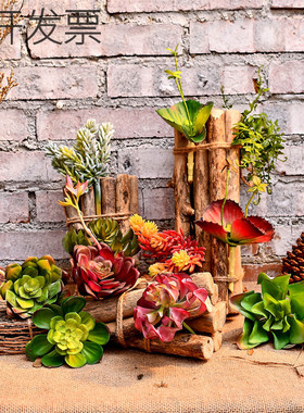 diy多肉植物组合室内背景墙假花