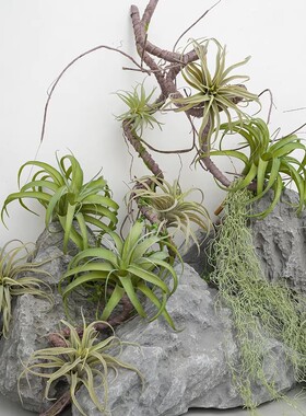 仿真空气凤梨植物摆件