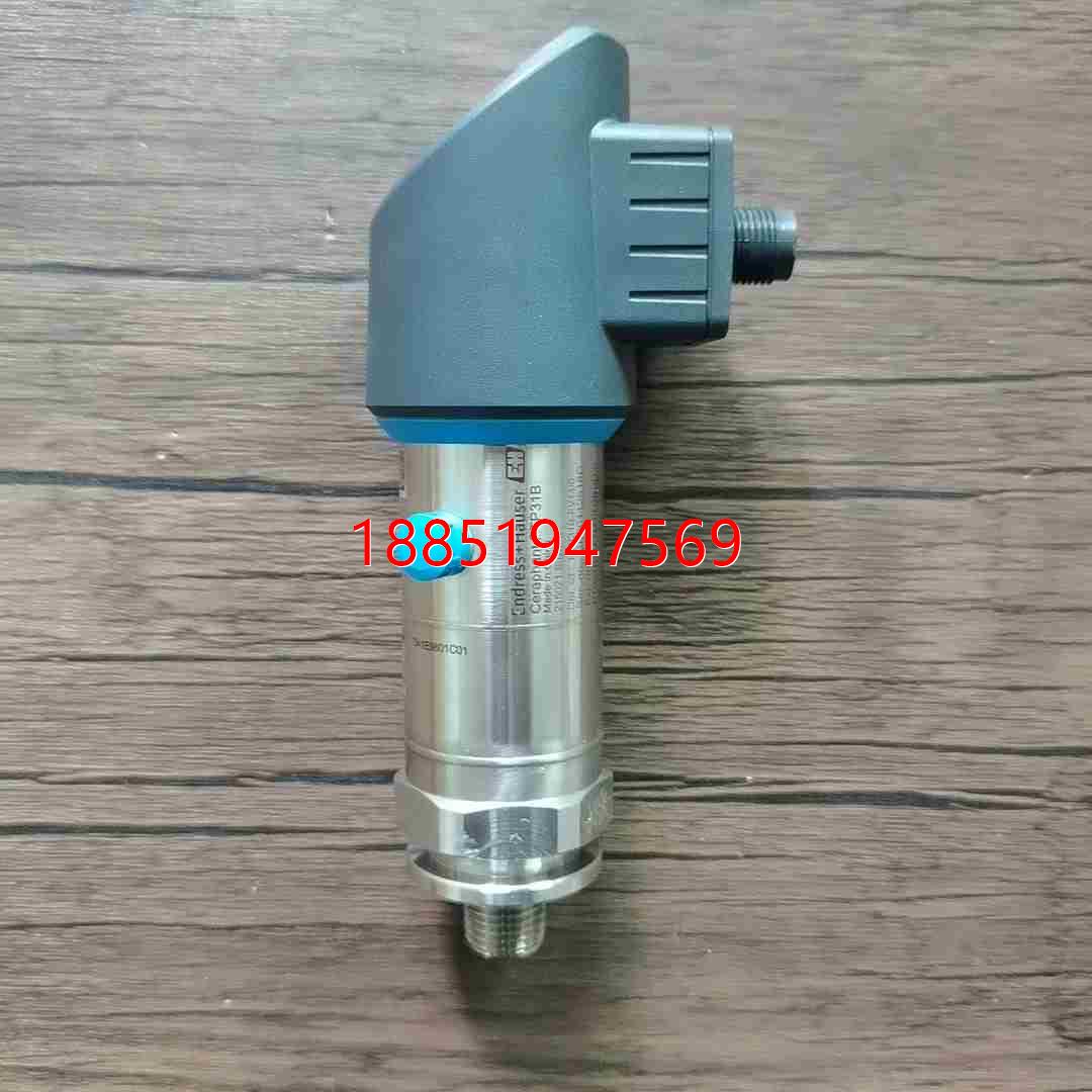 正品无包装 E+H恩德斯豪斯 PTP31B-FV14/0