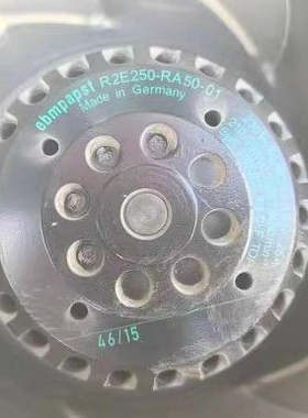 R2E250-RA50-01 230V 全新德国涡轮离心变频器进口风机风扇