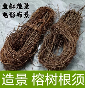 榕树根须沉木南美缸造景紫柚木杜鹃根虾龟鱼插花水草鱼缸微景观