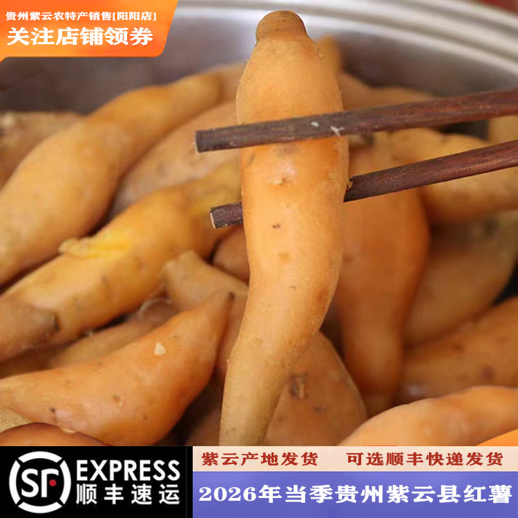 贵州紫云黄皮黄肉番薯香甜红薯地瓜拇指型迷你小香薯可选顺丰包邮