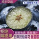 云南花香有机蓝莓鲜果L25新鲜特大纯甜当季 时令水果果园农场蓝梅