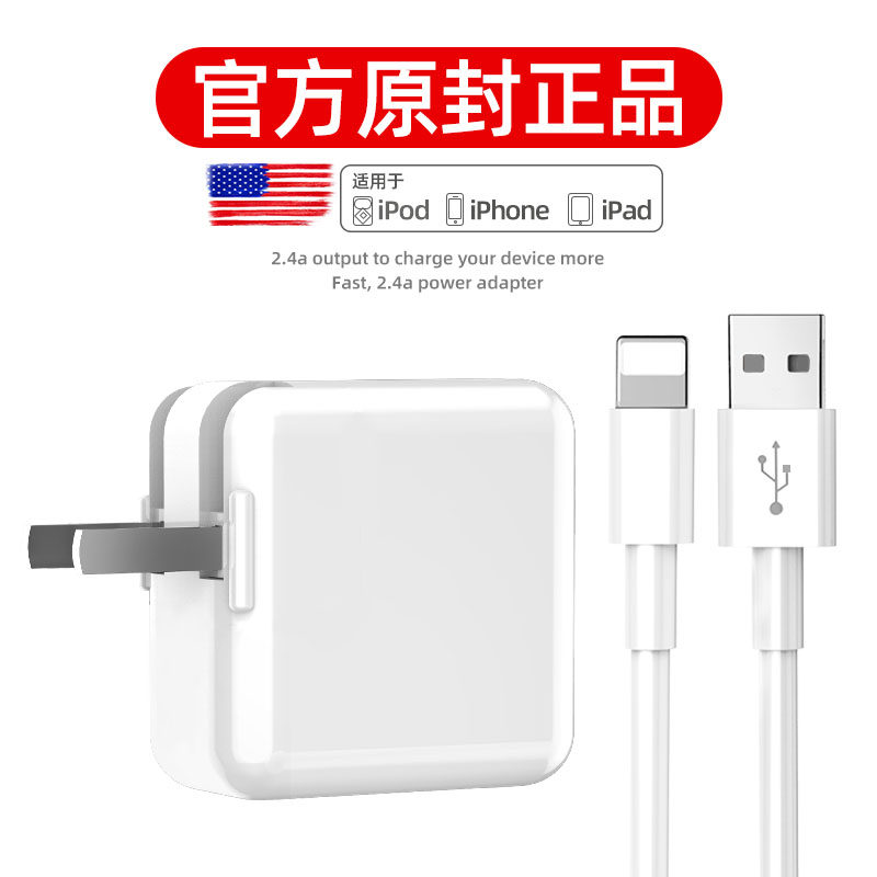iPad充电器mini/Air/2/3/4/苹果5/6s/7/8plus/iPhoneX充电头快充12W平板2018pro正品套装手机数据线闪充插头