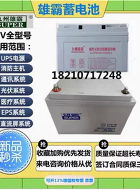 雄霸蓄电池免维护6-FM-7 12V7AH17AH22AH65AH100AH直流屏UPS电源