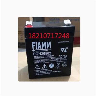 非凡蓄电池FGH2050212V5AH电梯