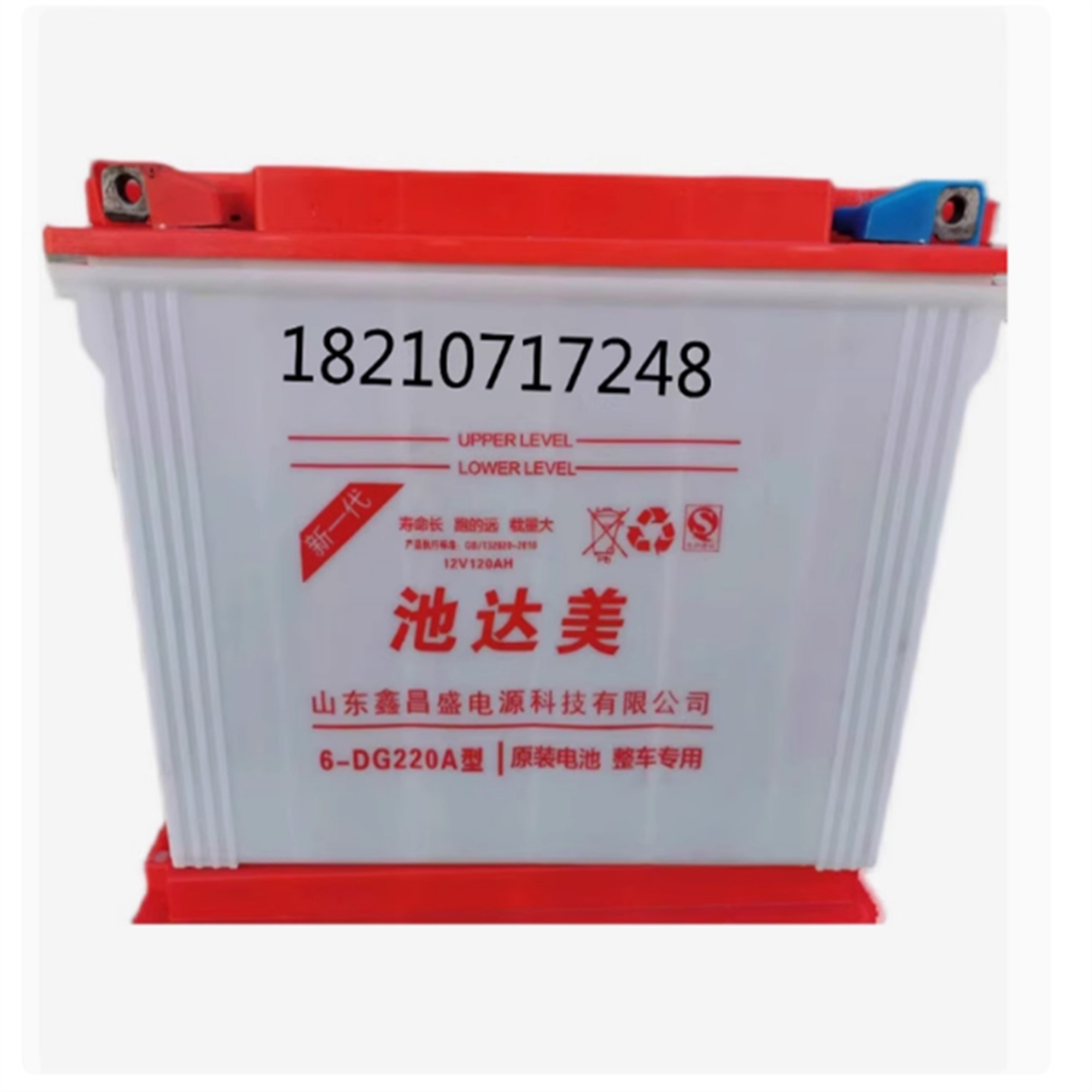 池达美电瓶6-DG220A型电动四轮