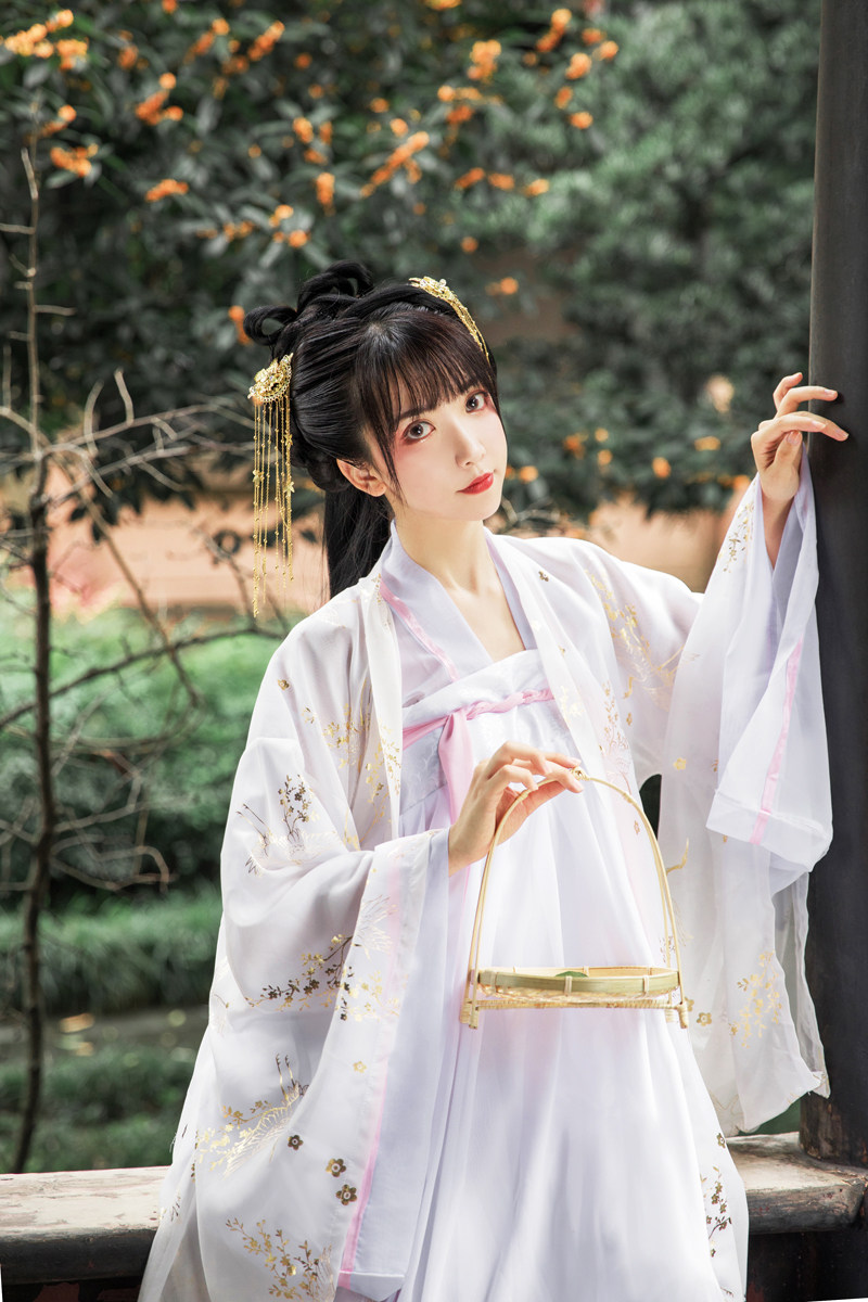 汉服女原创中国风大袖衫古装齐胸襦裙夏季超仙气飘逸古风白菜全套