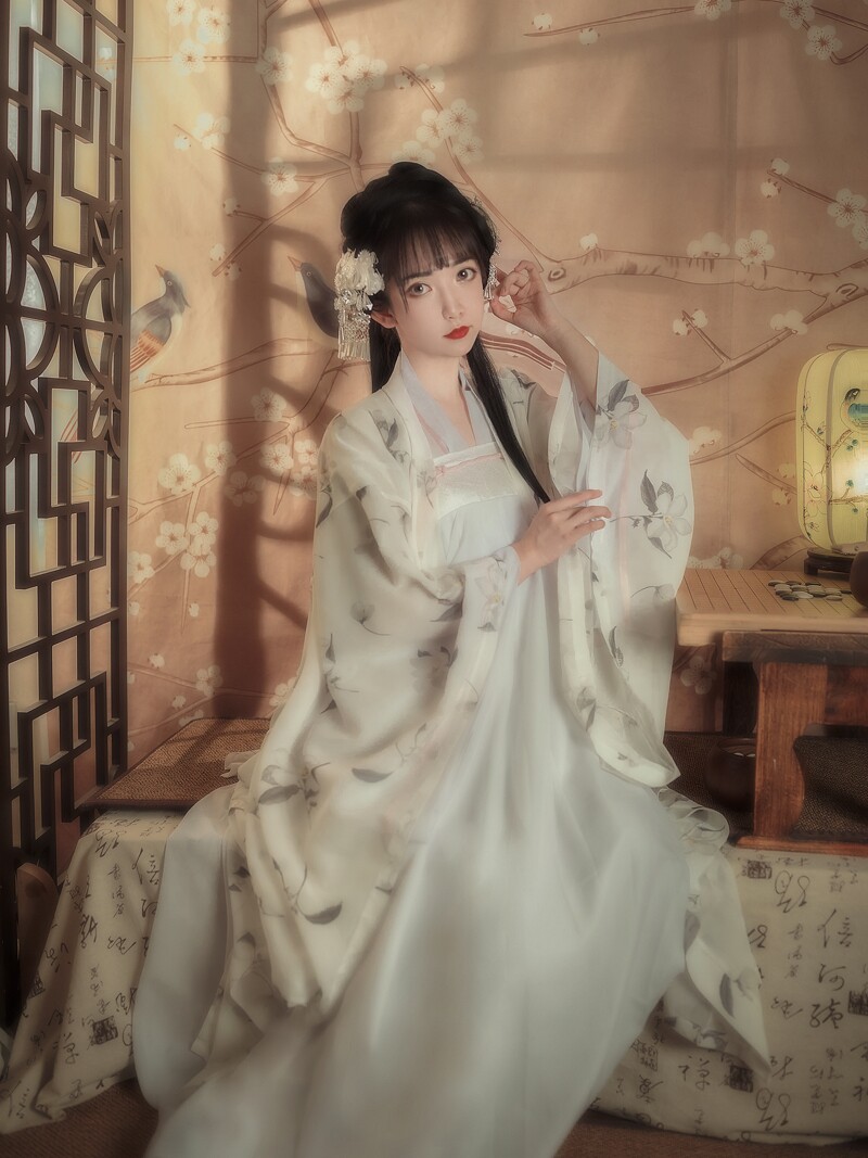 汉服女改良古装中国风广袖流仙裙学生齐胸襦裙汉元素古典舞演出服