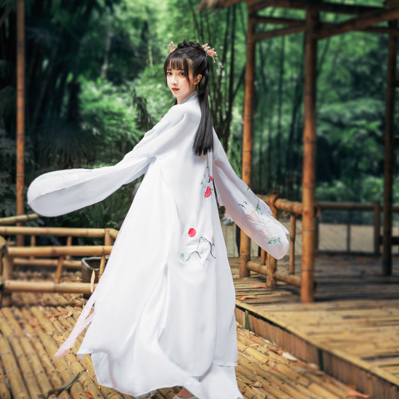 汉服女夏季仙气学生汉元素白菜价古装齐胸襦裙中国风广袖流仙裙