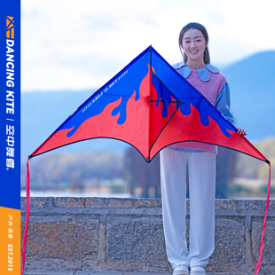 新款潍坊三角炽焰大小风筝儿童微风易飞手持大人专用高档专业级