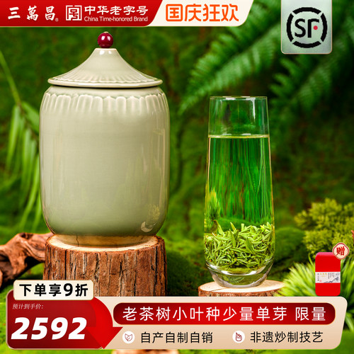 头采新茶三万昌碧螺春明前特级
