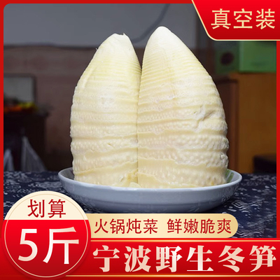 宁波脆嫩新鲜冬笋尖500g*5袋装