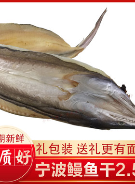 宁波微咸海鲜鳗鱼干