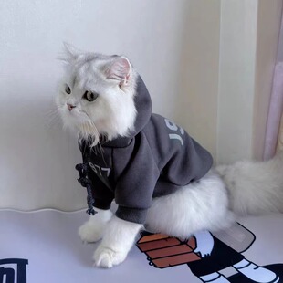 宠物衣服秋冬装猫咪洋气保暖加绒连帽卫衣布偶猫蓝猫公猫幼猫服装