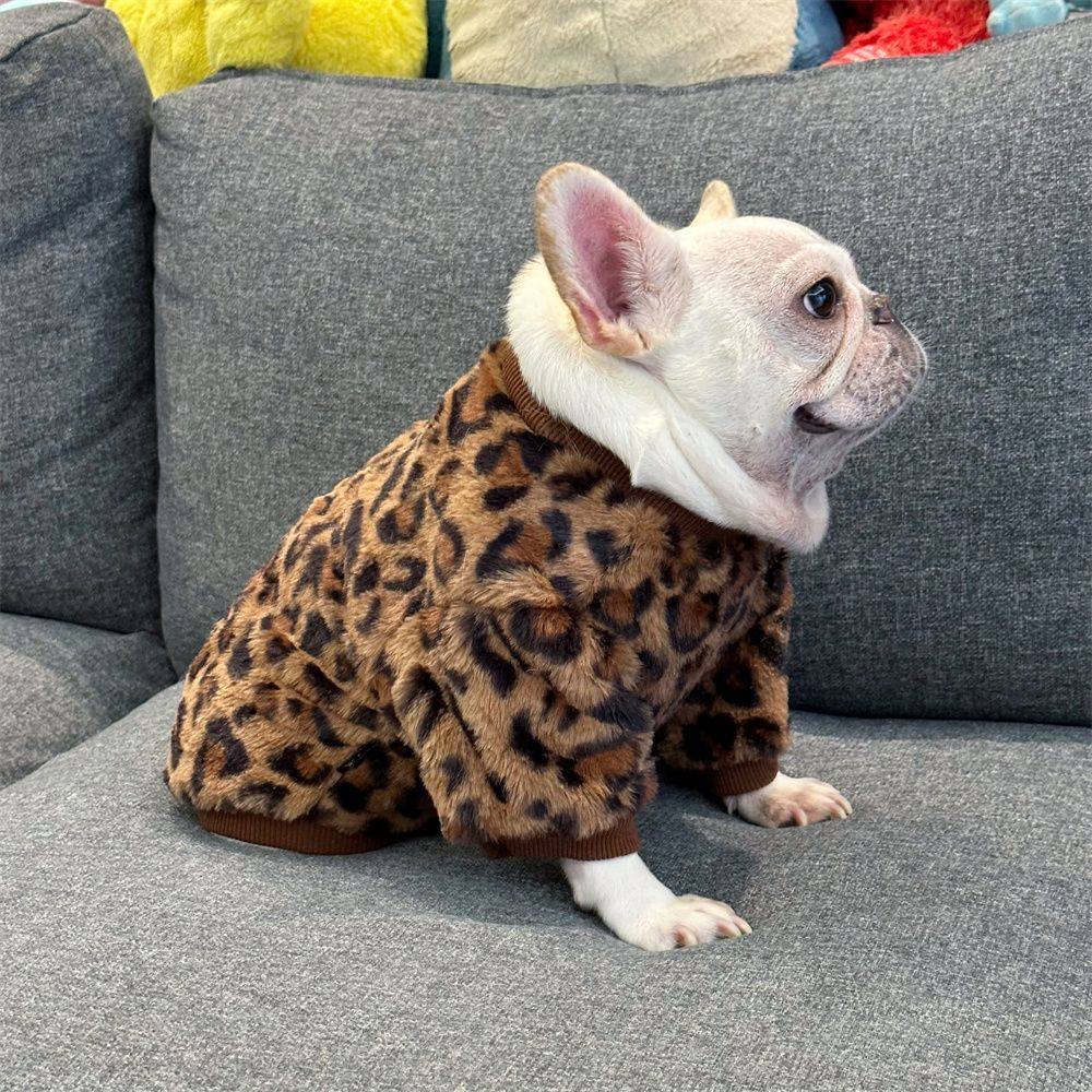 宠物狗狗加绒卫衣法斗英斗八巴哥胖狗柯基柴犬秋冬款防掉毛两脚衣,宠物/宠物食品及用品,狗宠物服装/雨衣,淘宝优惠券,粉丝福利购,淘宝优惠卷